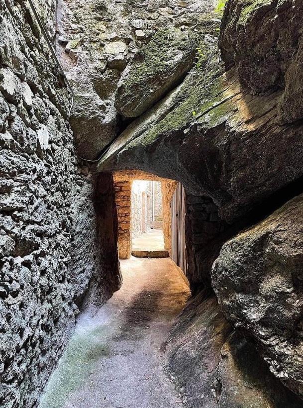 فيلا Gite Pommier Au Chateau Des Pauses Saint-André-de-Majencoules المظهر الخارجي الصورة